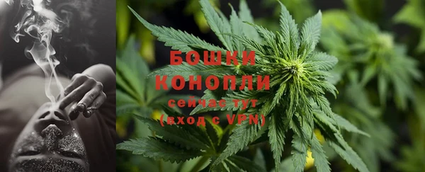 PSILOCYBIN Рославль