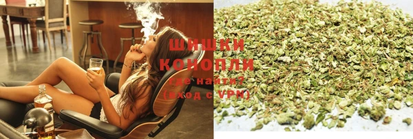PSILOCYBIN Рославль