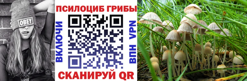 продажа наркотиков Суджа Галлюциногенные грибы мухоморы