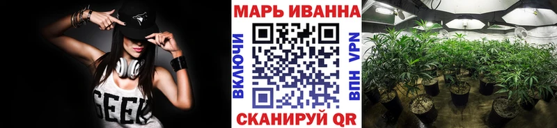 Конопля SATIVA & INDICA Суджа